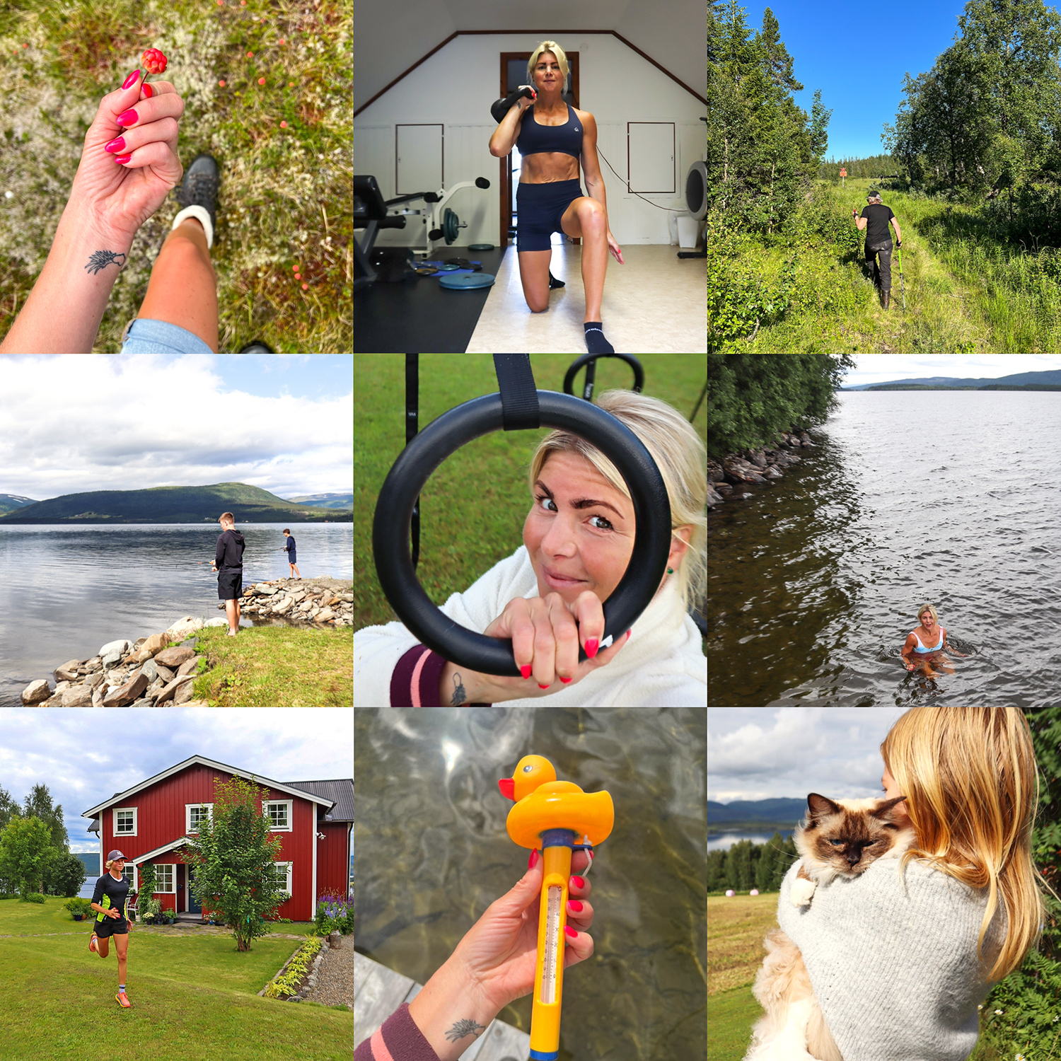 veckans65 - Jorm runt