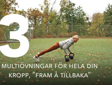 helkroppspass