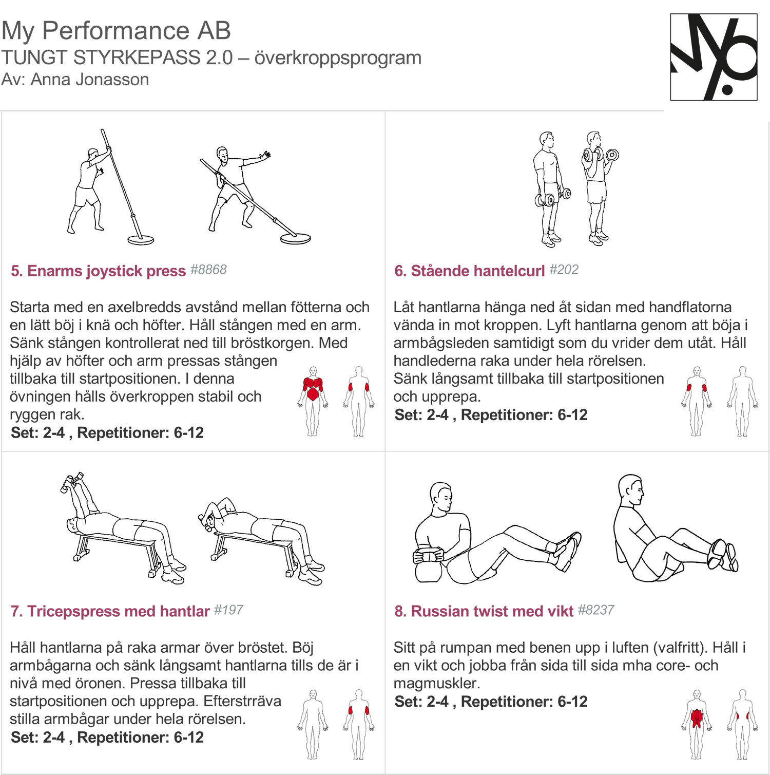 styrketräningsprogram