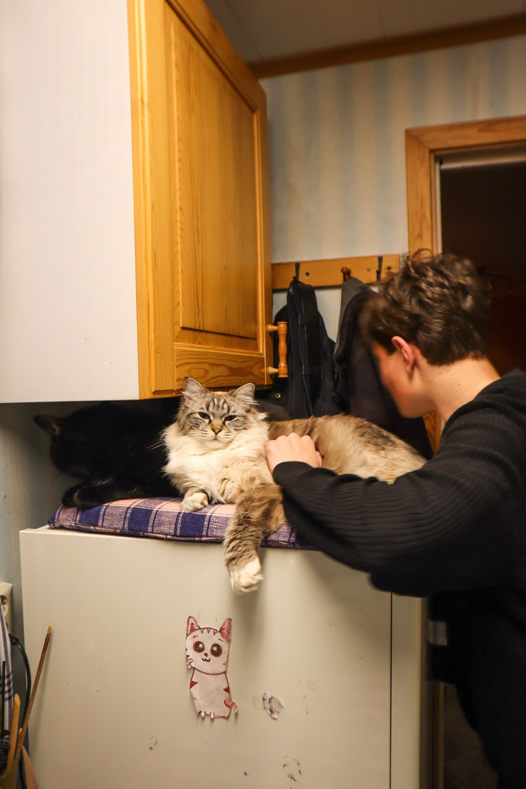 IMG_9617-scaled - sportlov