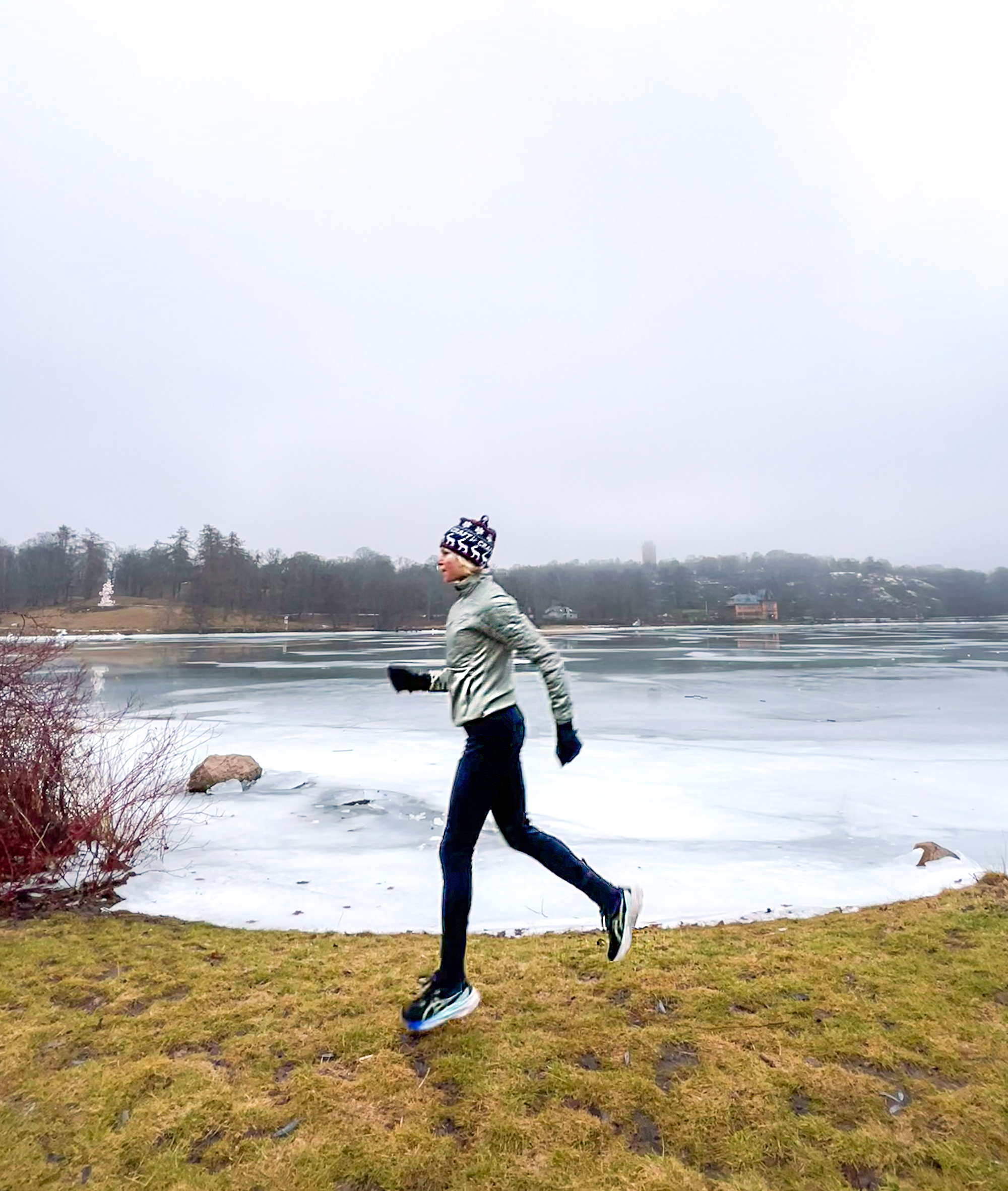 lop_annaj_var24 - framsteg