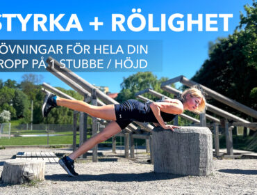 styrka_rorl_stubbe_banner