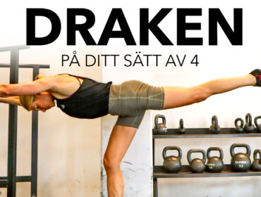 varianter av draken