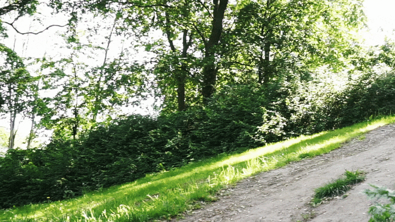 backe - Kul och effektiv utomhusträning