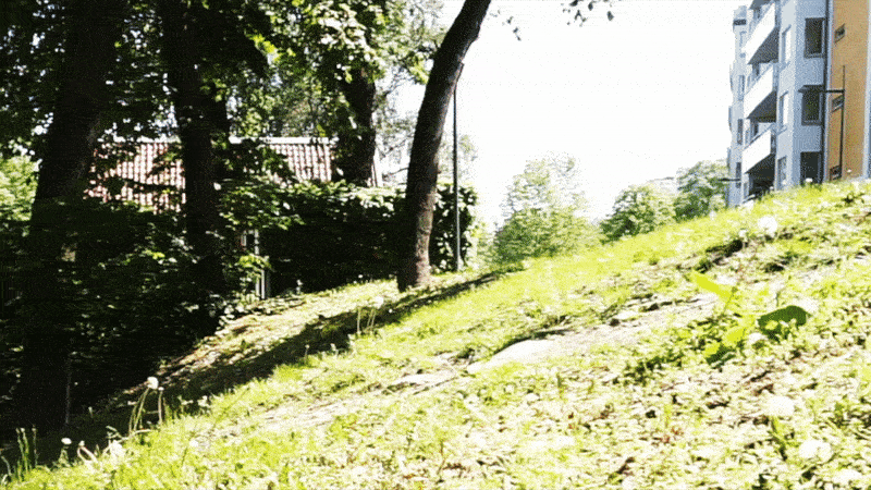 björngång - Kul och effektiv utomhusträning