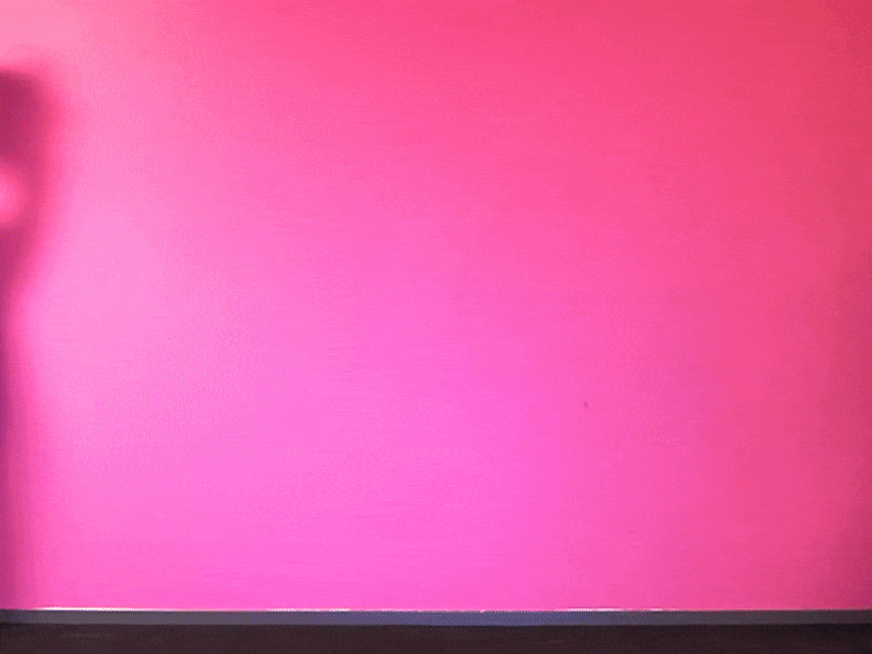 6A992A7A-1E57-4176-9B62-77F70D074BDA - Magträning