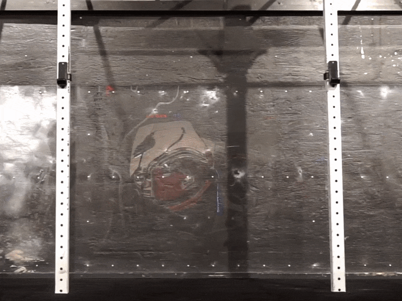 285a15fe-cd60-4b1c-831a-76a36292aef4-33864-00001388c2599a31 - 7 bästa gymövningarna