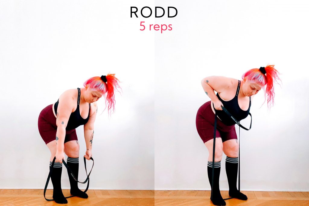 BC66038A-898D-4490-89CC-528A465B9349-1024x683 - Träna styrka, kondition och rörlighet med ett gummiband