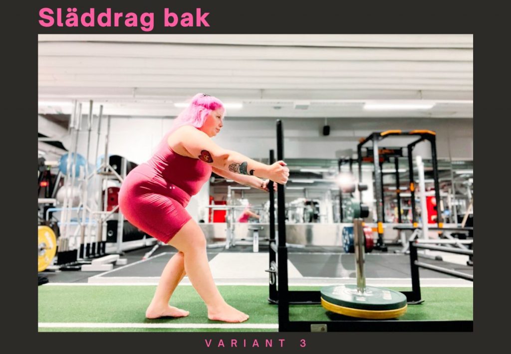 VARIANT-3-1024x710 - 6 sätt att träna med en släde