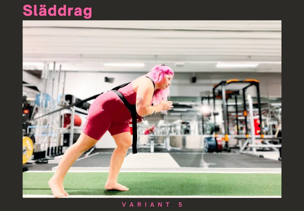 VARIANT-5-1024x710 - 6 sätt att träna med en släde