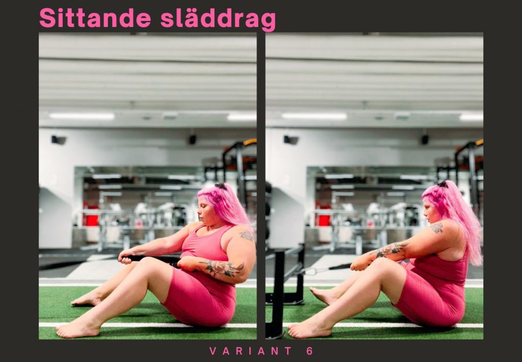 VARIANT-6-1024x710 - 6 sätt att träna med en släde