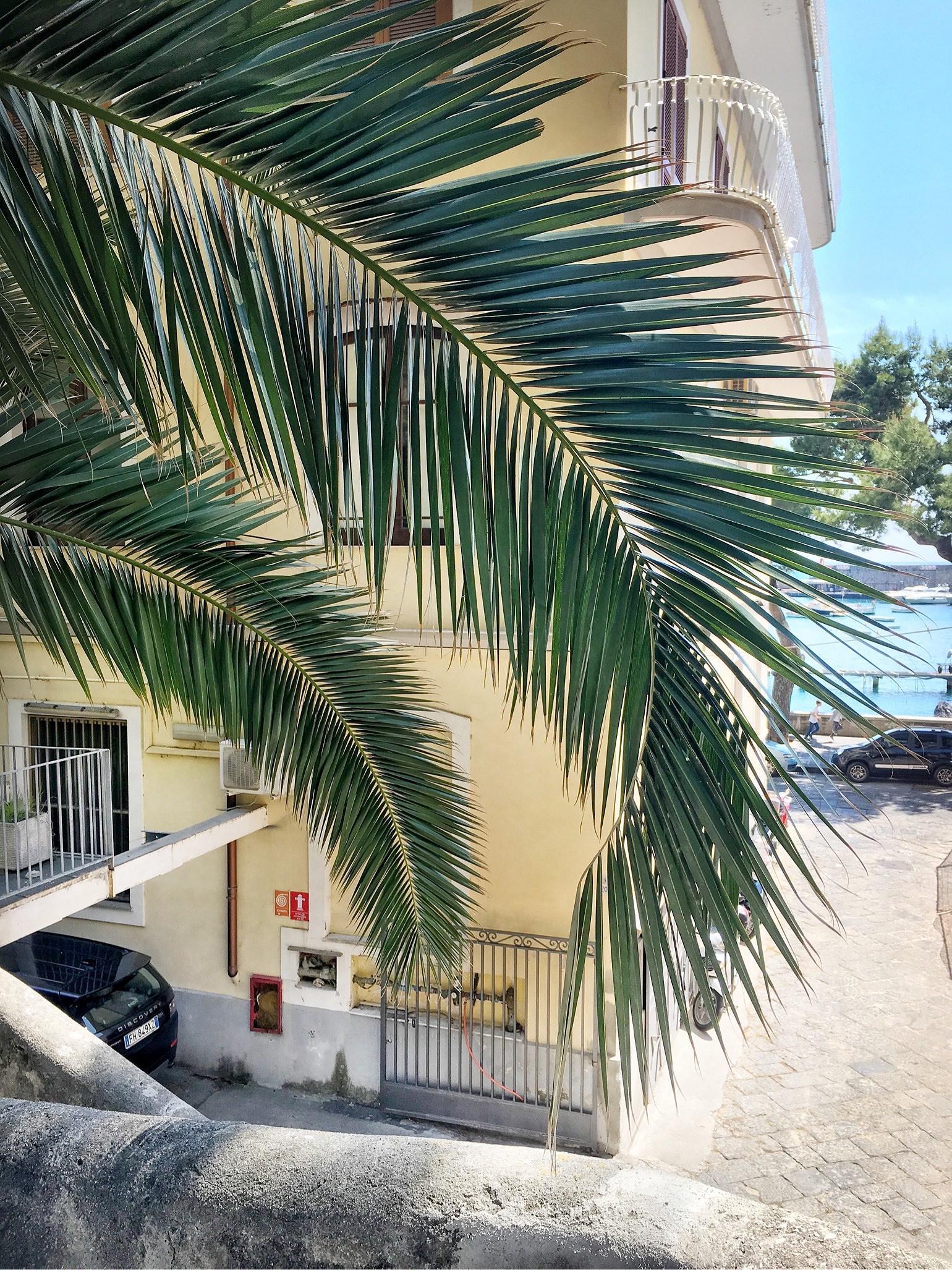 201904230911029628 - Guldkant på café Pansa