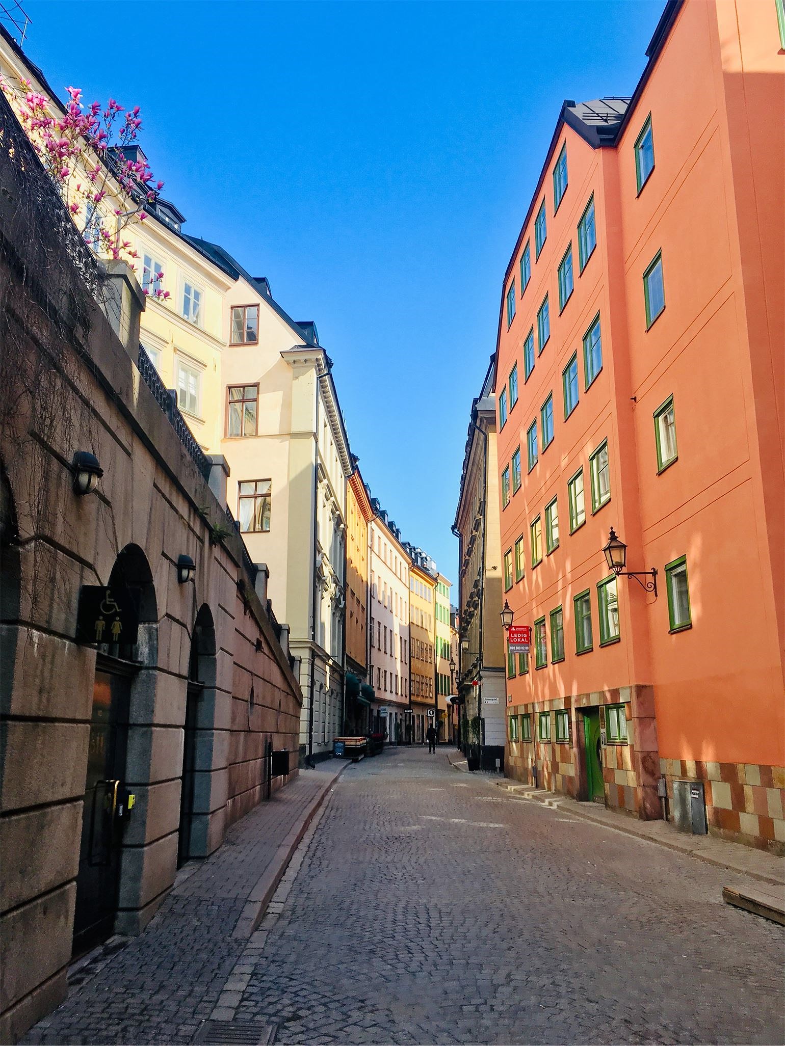 201905111215372532 - Brunch på mr. Cake och träningshets.