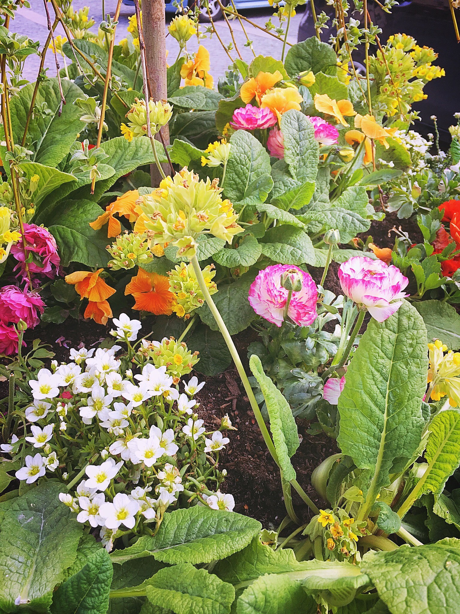 201905130654299684 - Tävling till helgen