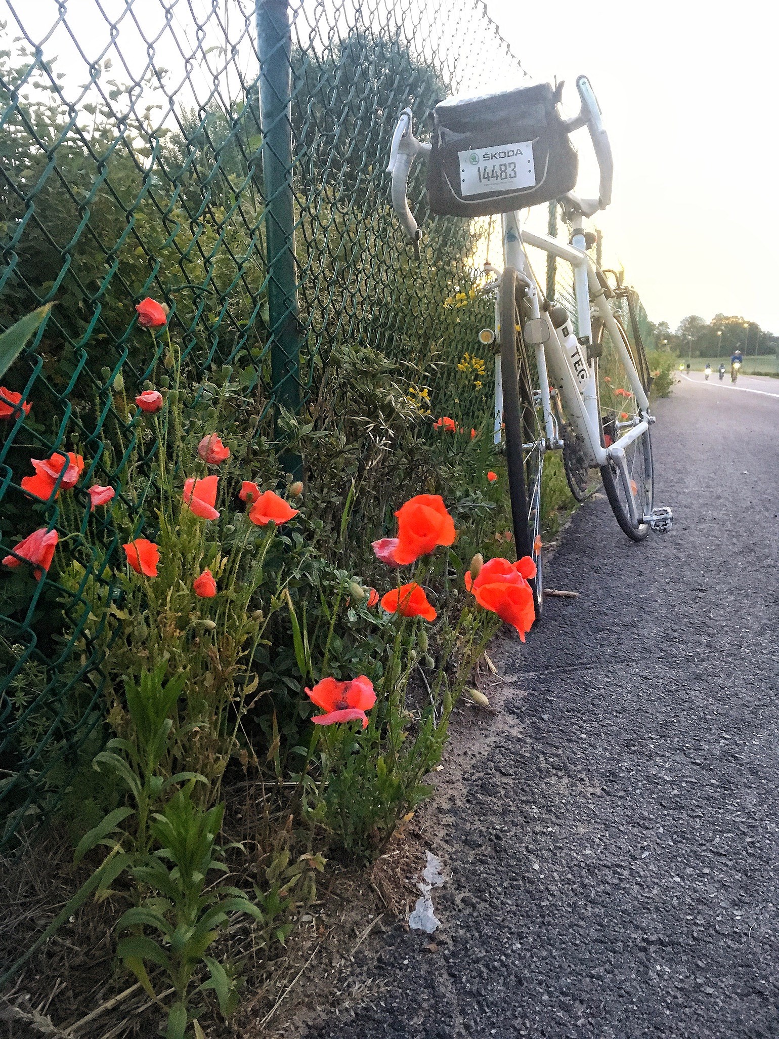 201906161628577624 - Vätternrundan 2019