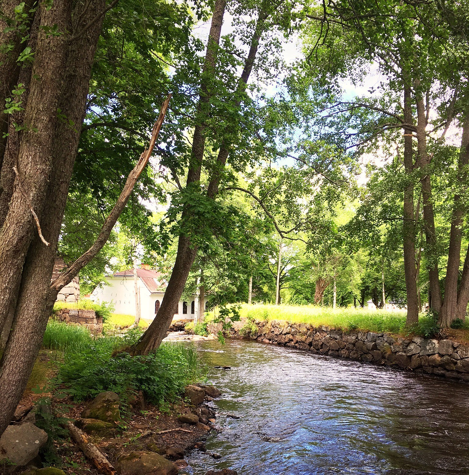 201907041447261770 - STRUNTPRAT om Kost och Träning till försäljning