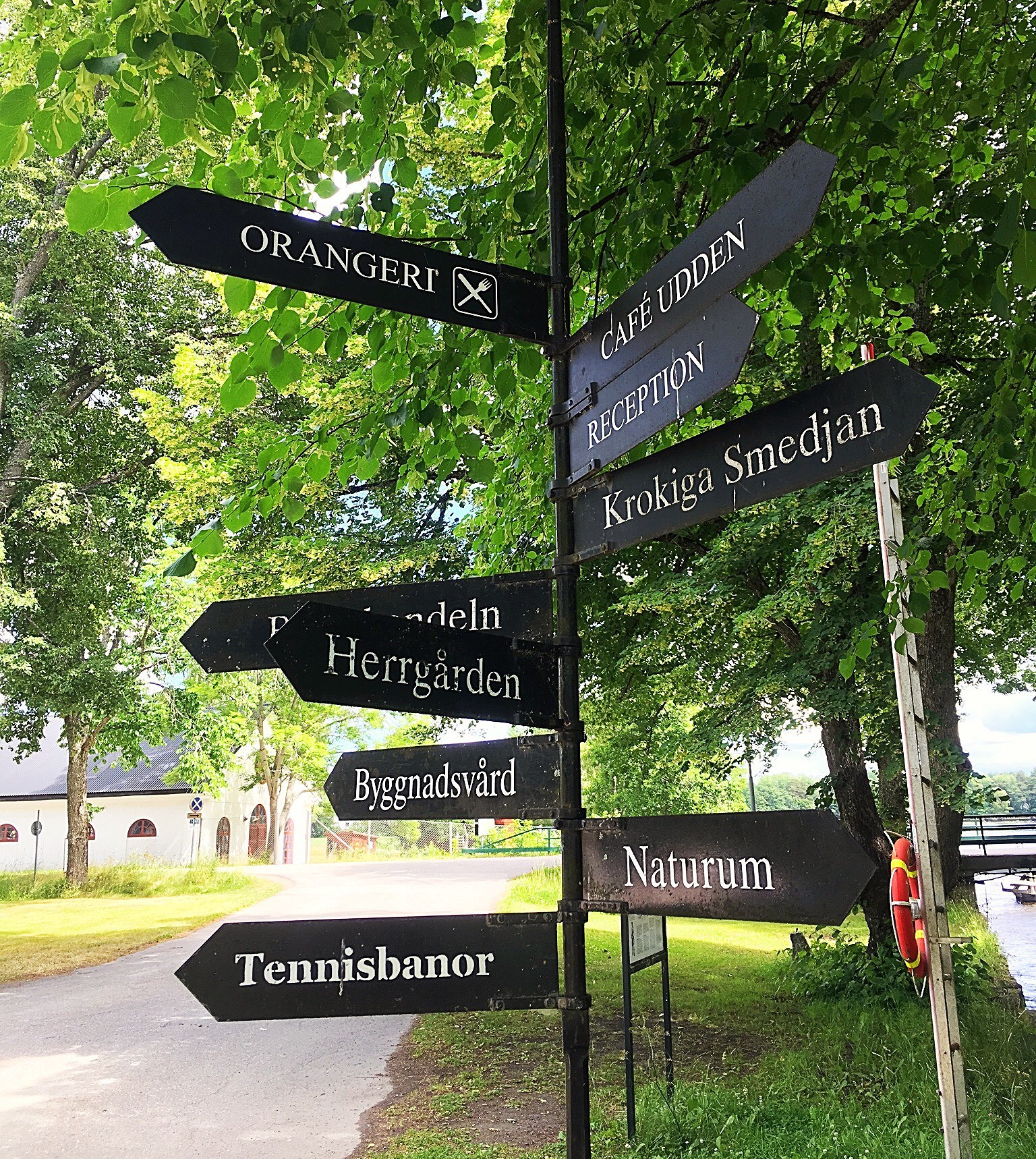 201907041447345288 - STRUNTPRAT om Kost och Träning till försäljning