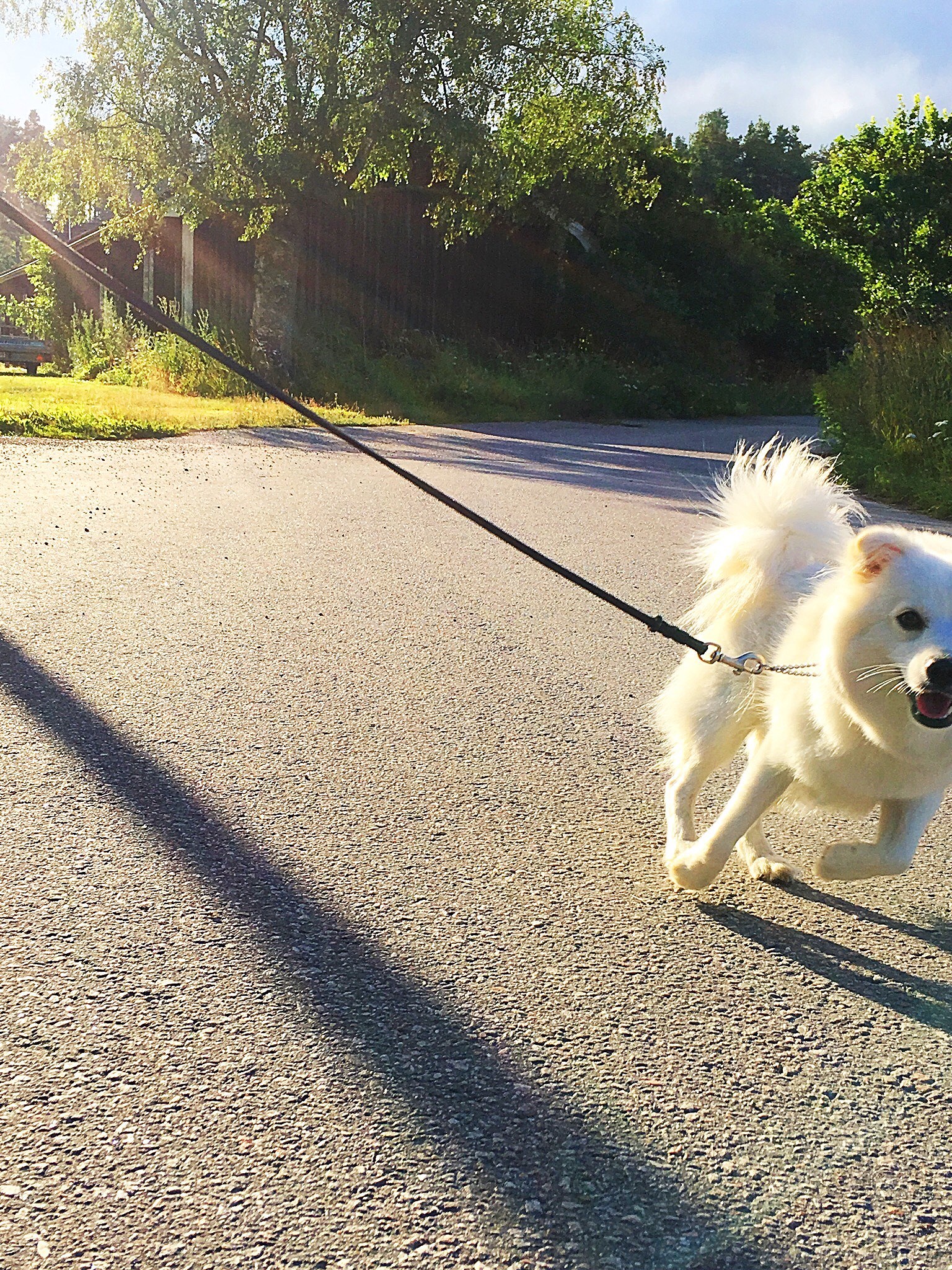 201907101228307524 - Den första sålda boken