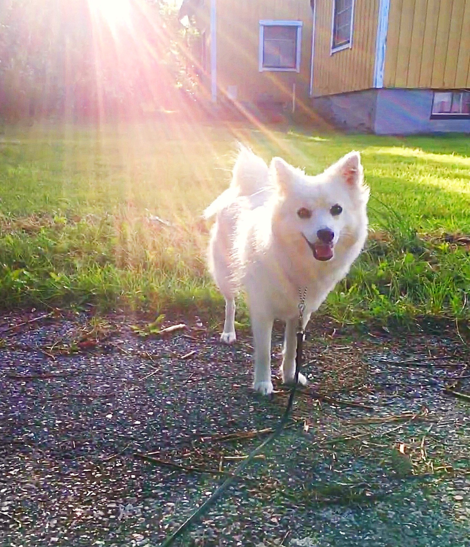 201907101228518091 - Den första sålda boken
