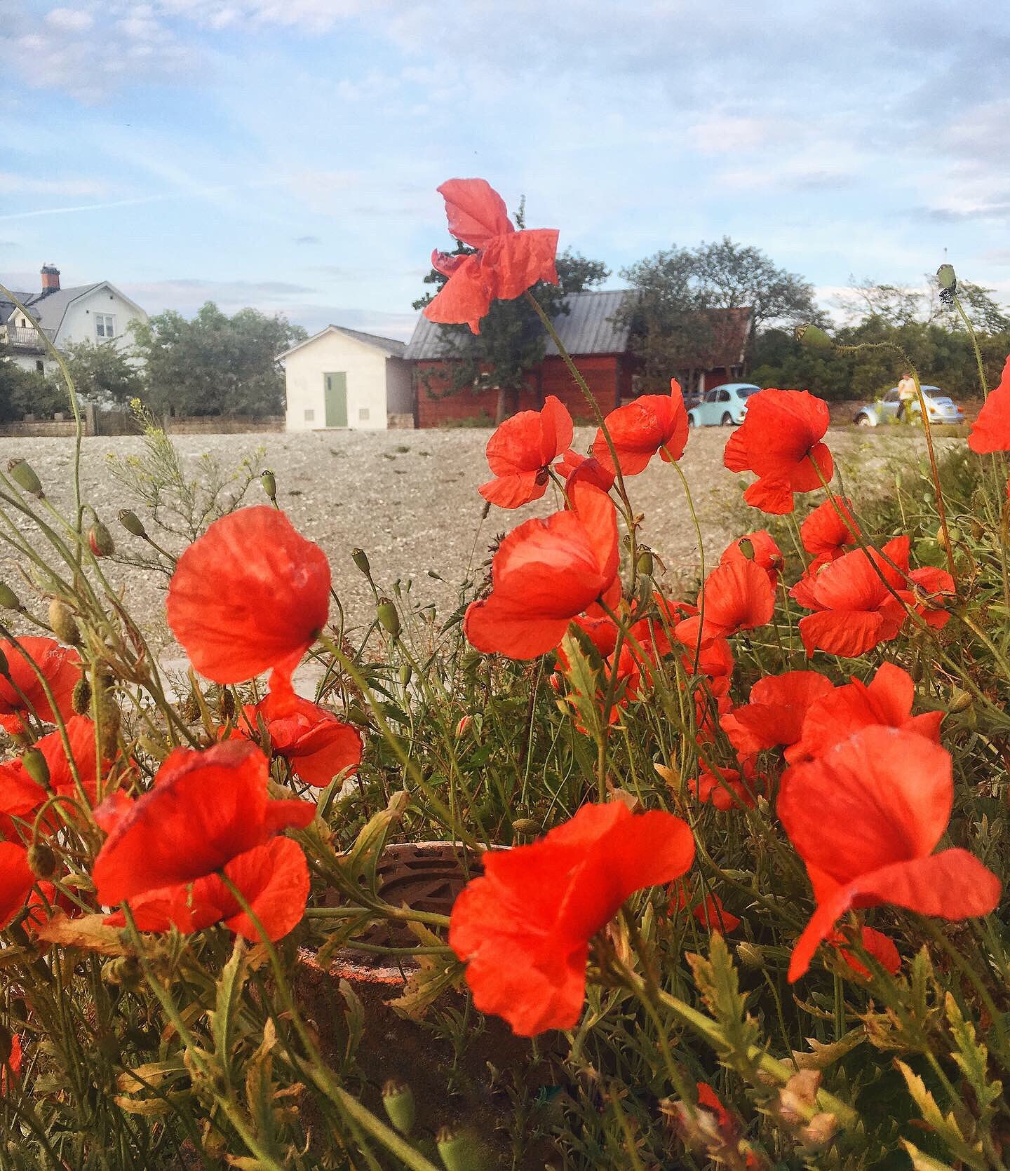 201907121621188665 - Motorstopp med en lastbil bakom