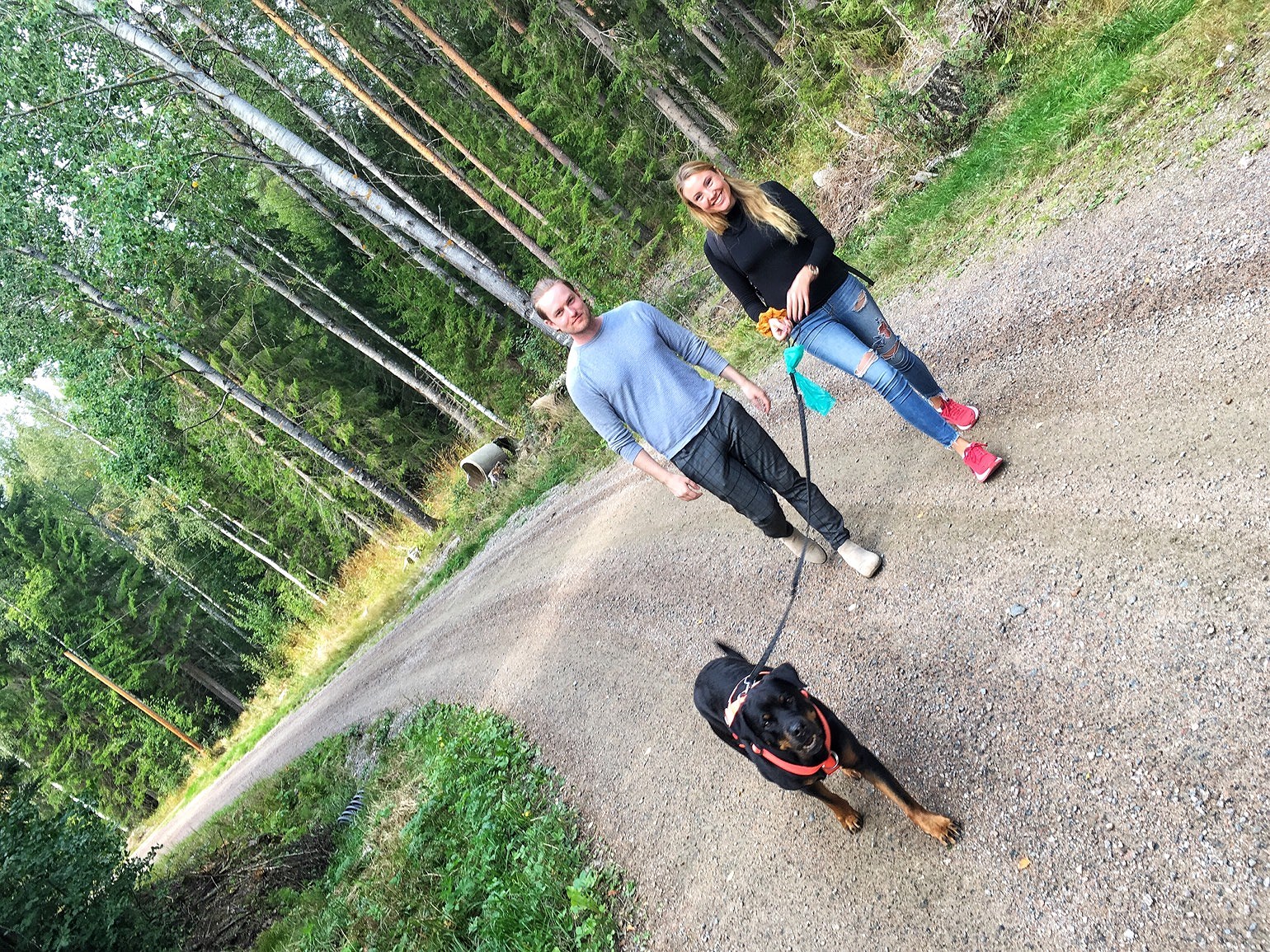 201909011513362311 - Tomat och getostmuffins till picknick