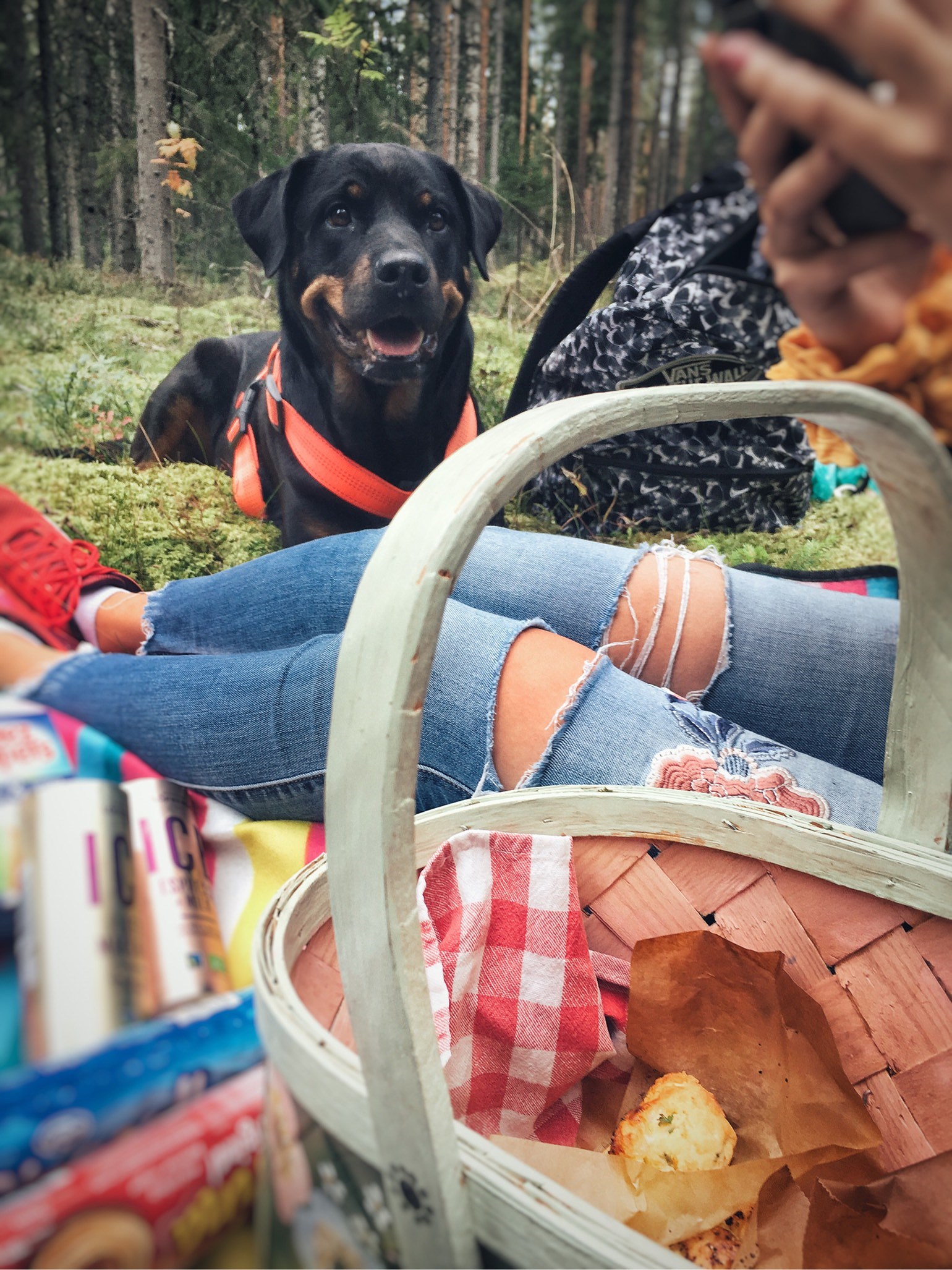 201909011514219663 - Tomat och getostmuffins till picknick