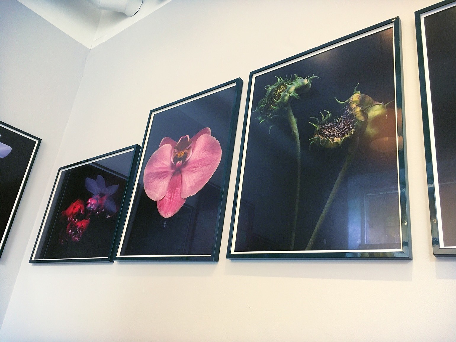 201910291451560474 - News: F blir J