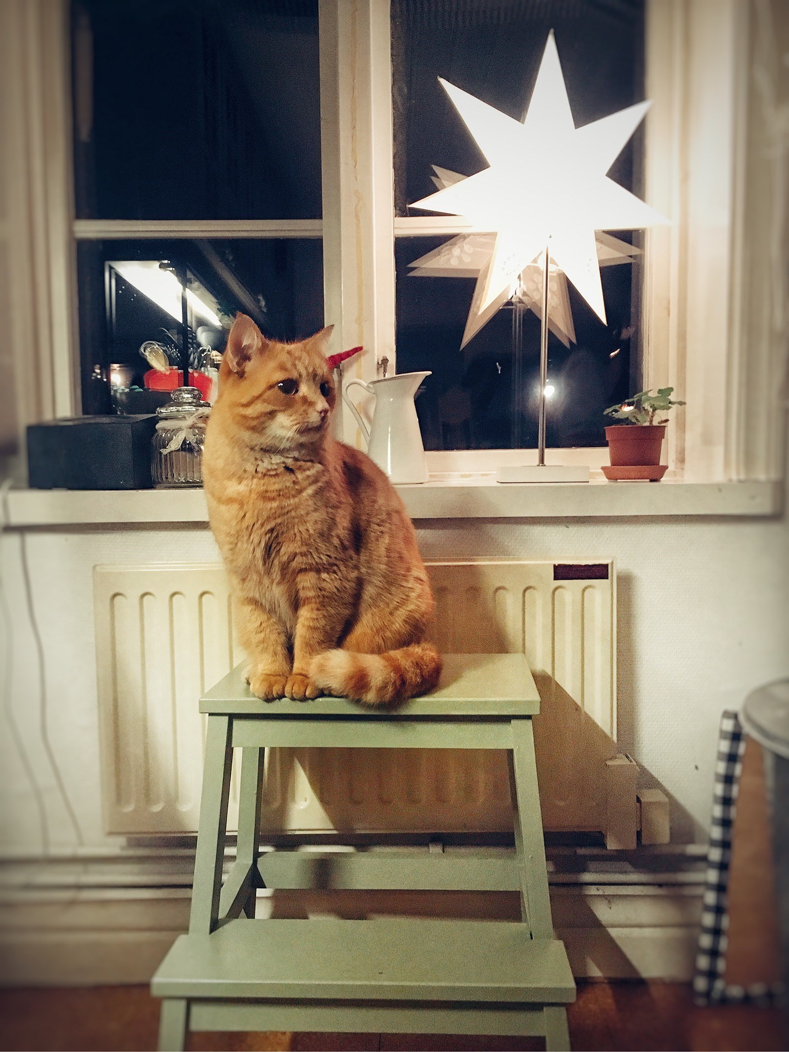 201912251354439375 - Nu är det jul igen