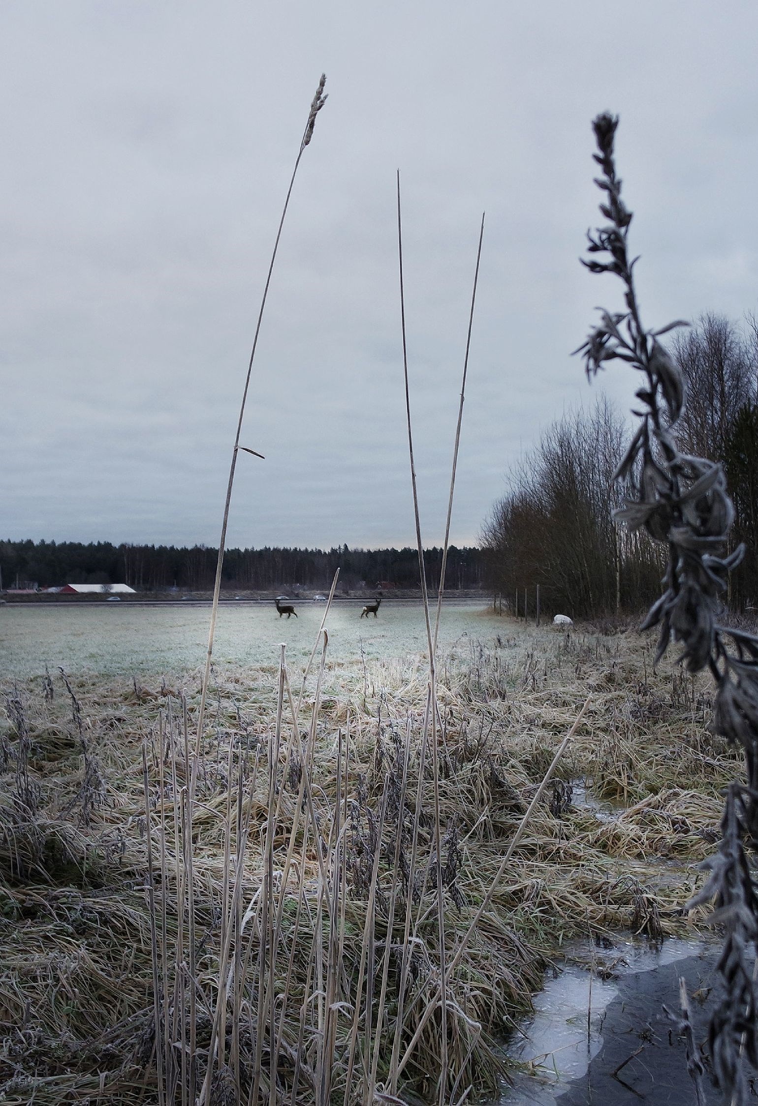 202001071748332445 - 5 anledningar till att vara utomhus