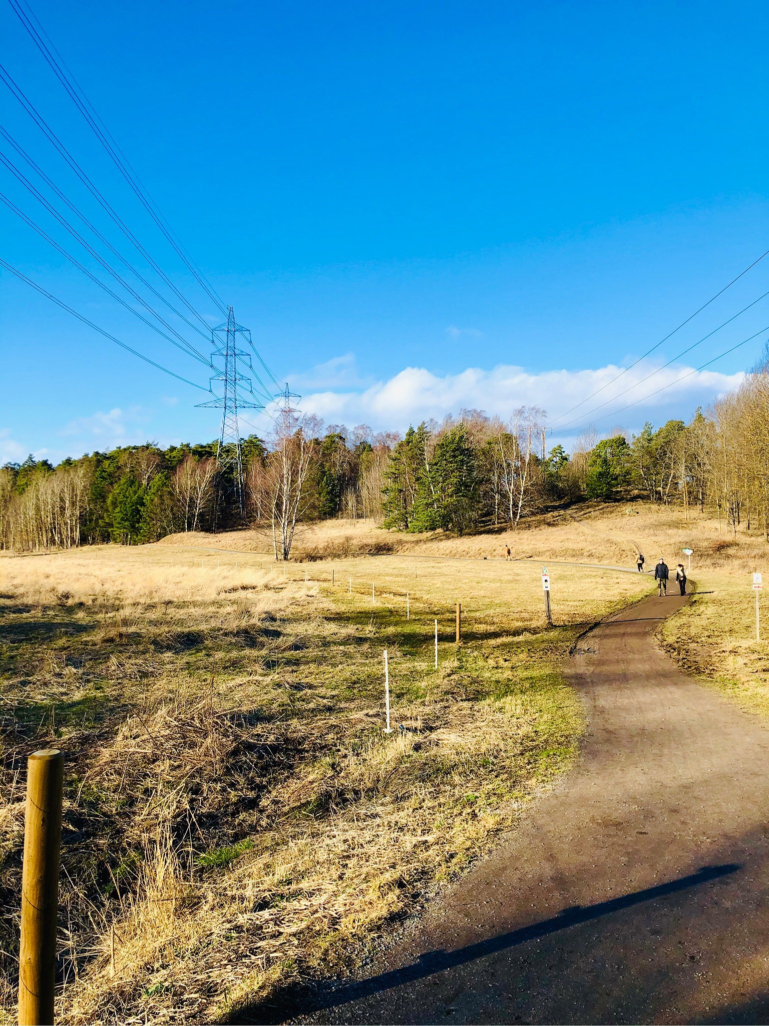 202002240830096786 - Nya löparskor och ingen mer smärta