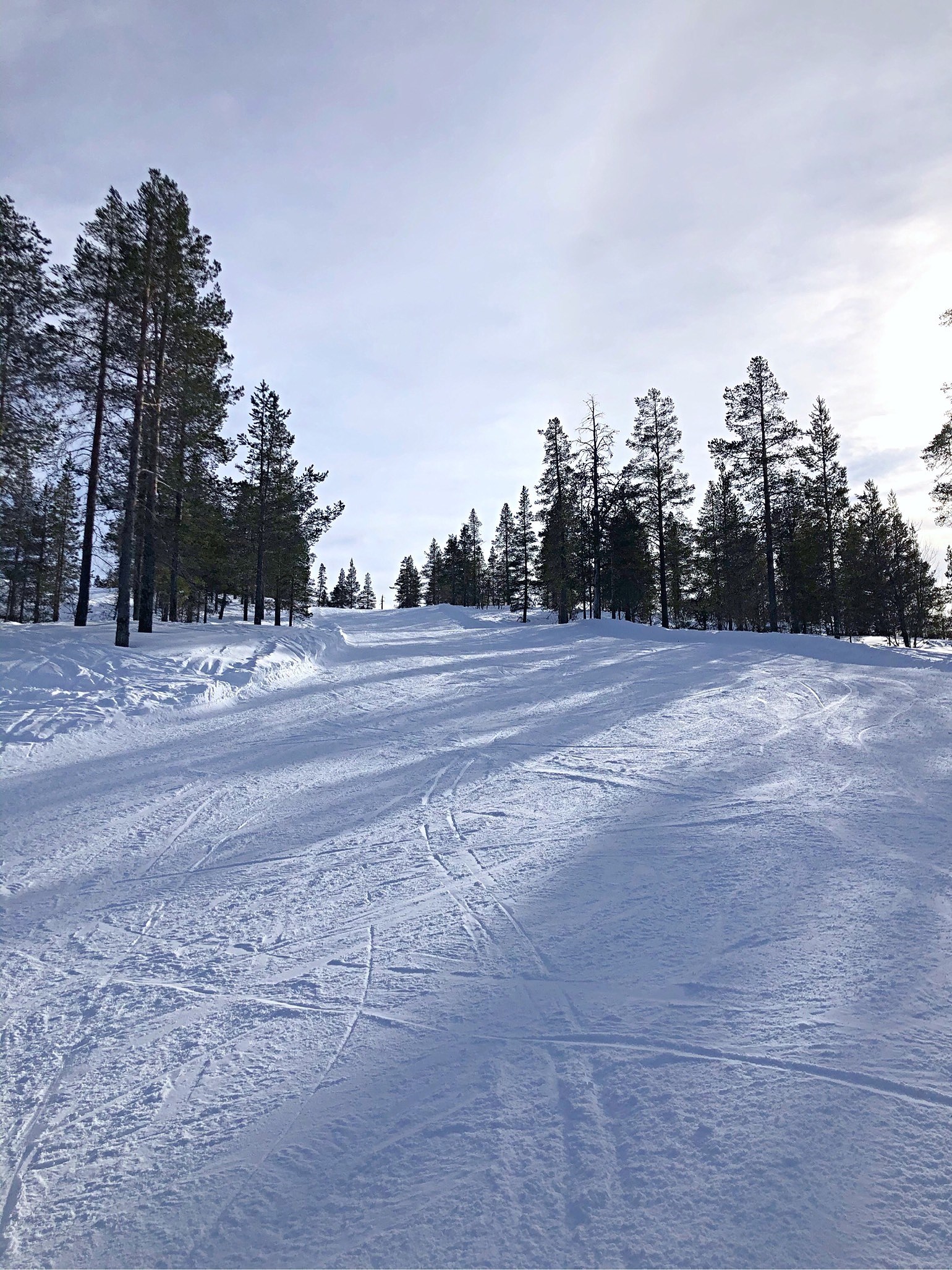 202003141405278462 - NJIE x IDRE