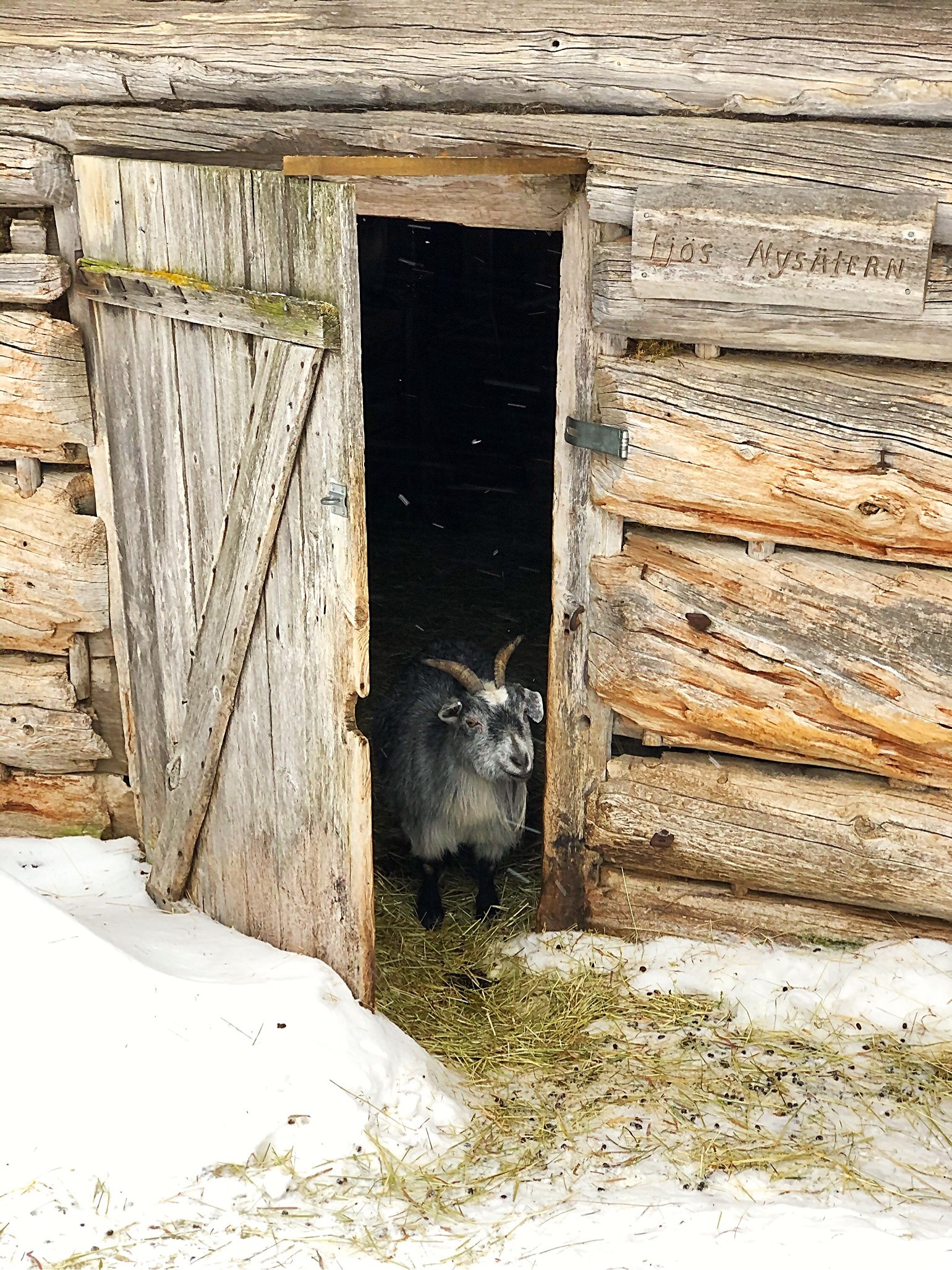 202003151759492609 - Arbetsplats, virus och kaos