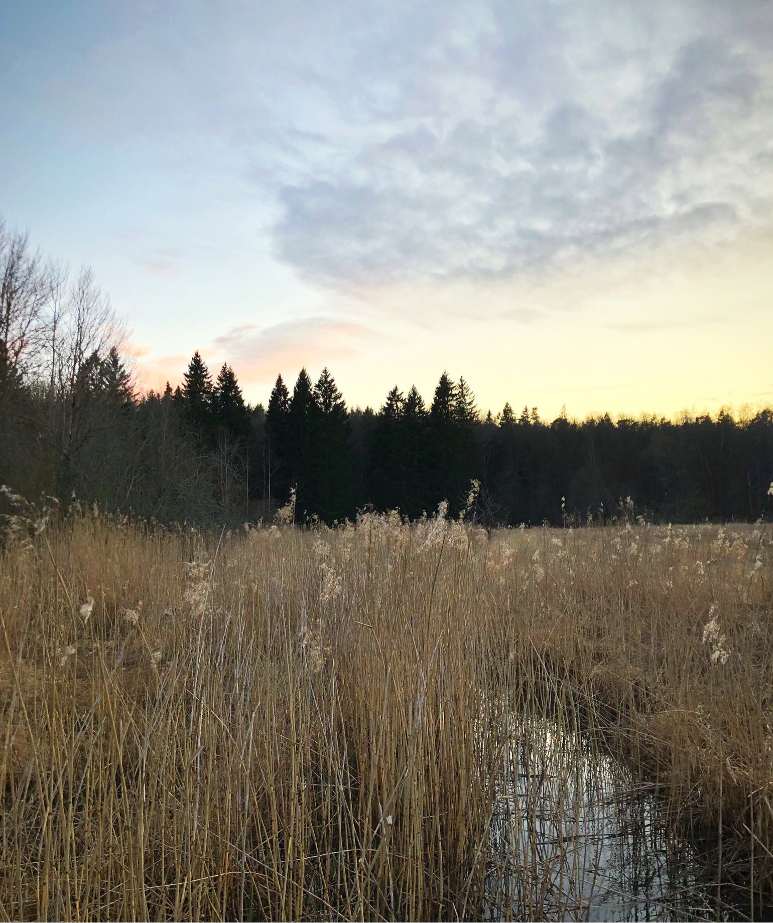 202003300613034203 - Distansförhållande