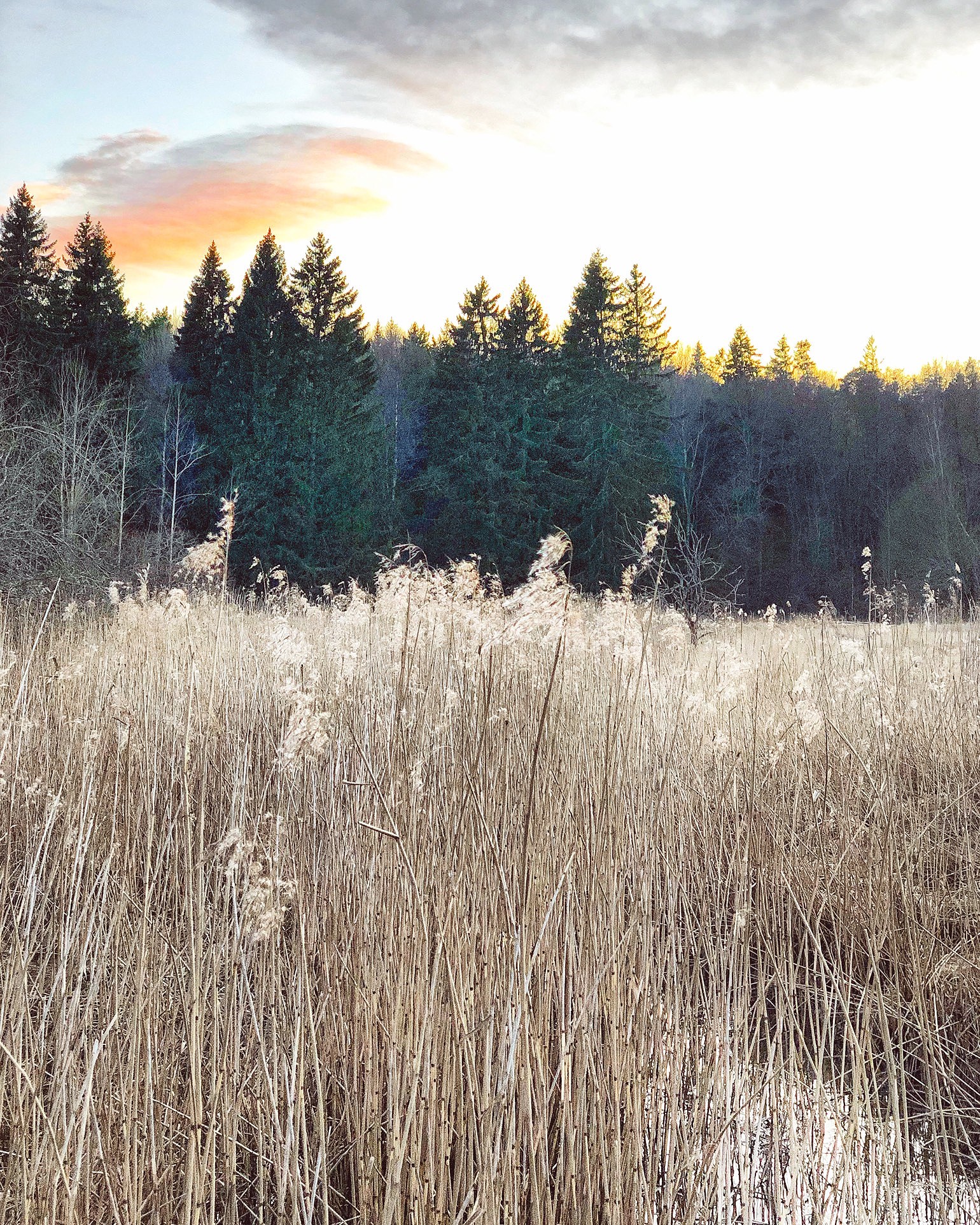202004041346263624 - För varje framsteg tar man ett steg bakåt