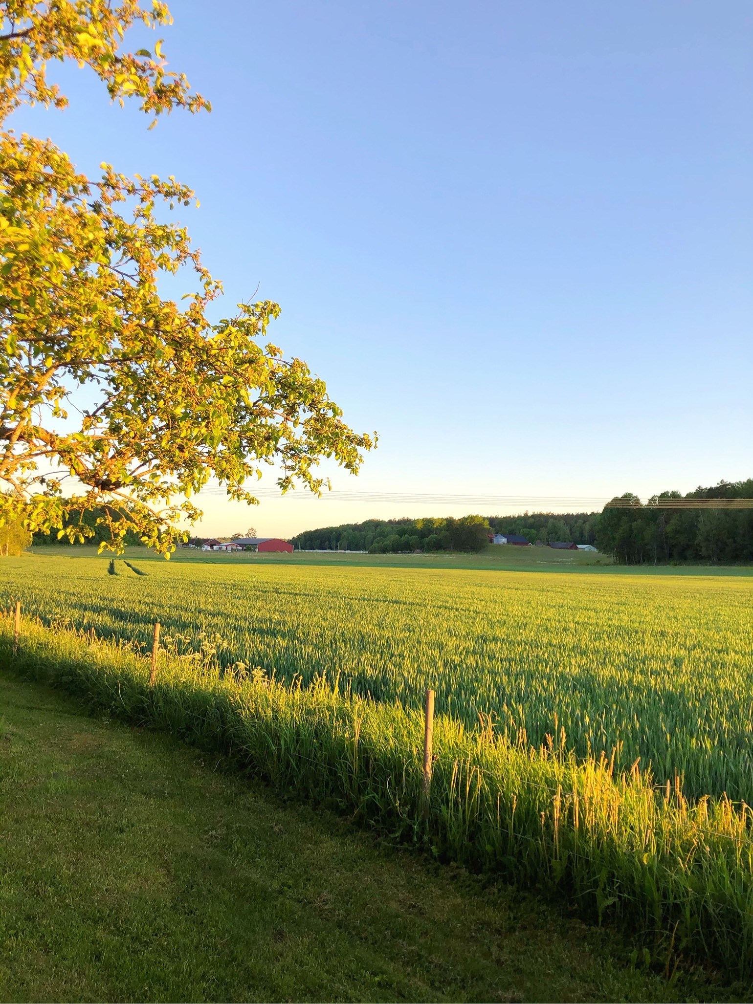 202006110240516396 - Dag 1 cykelsemester: Bakåtvolt Ingen sovplats