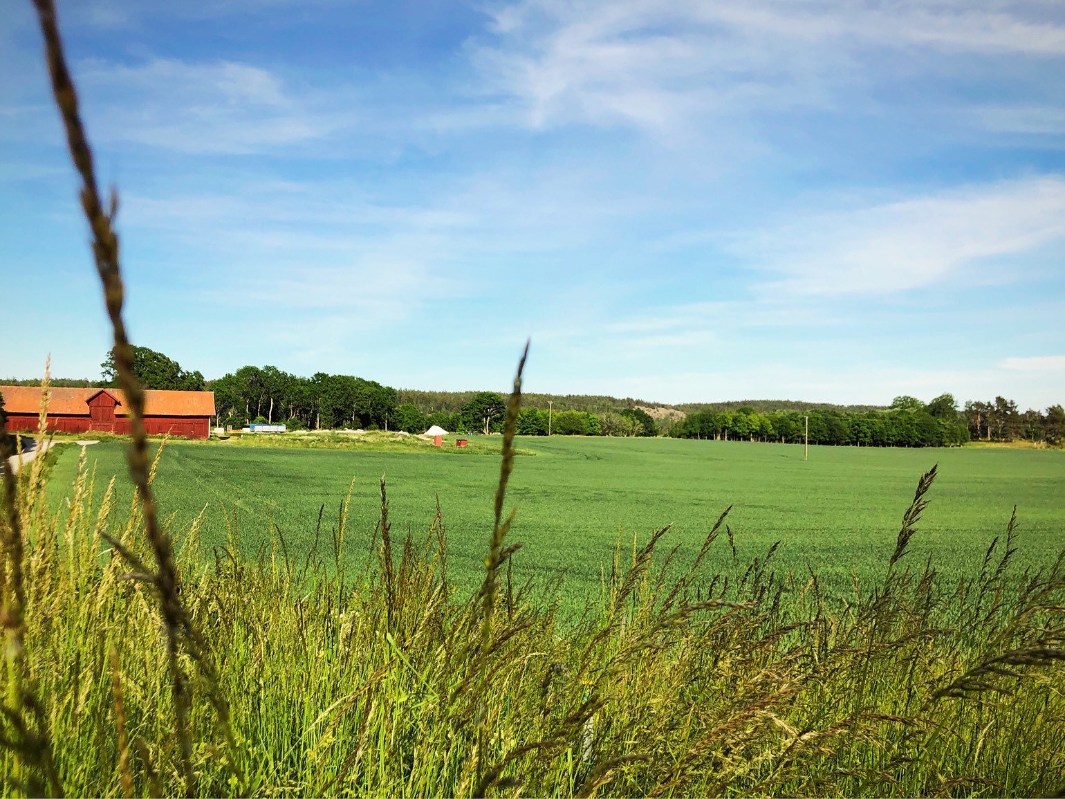 202006120624180134 - Dag 2 cykelsemester: Arbeta som författare från cykelsadeln