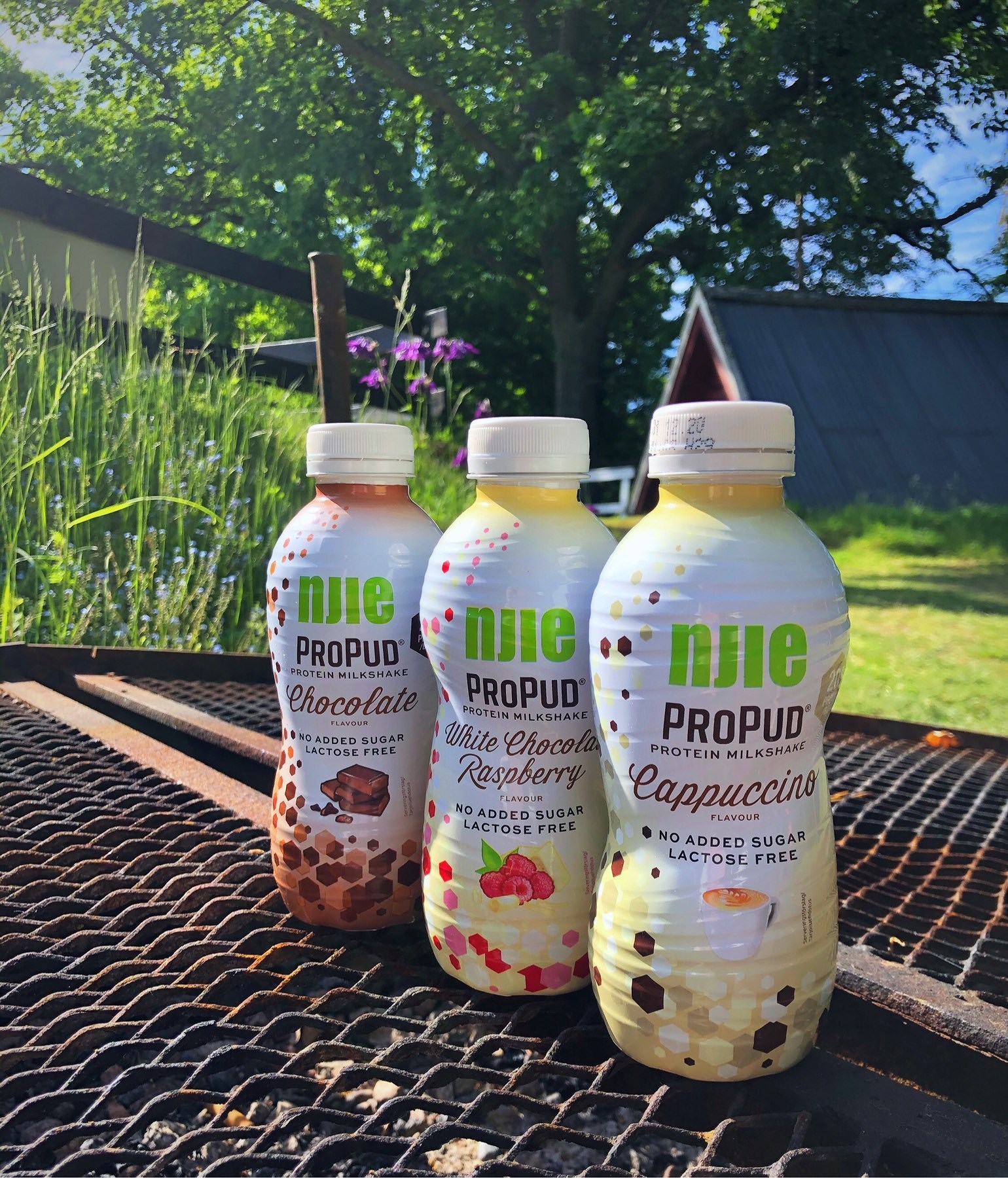 202006150433593296 - Cykelsemester dag 3: återvändsgränd och motvind