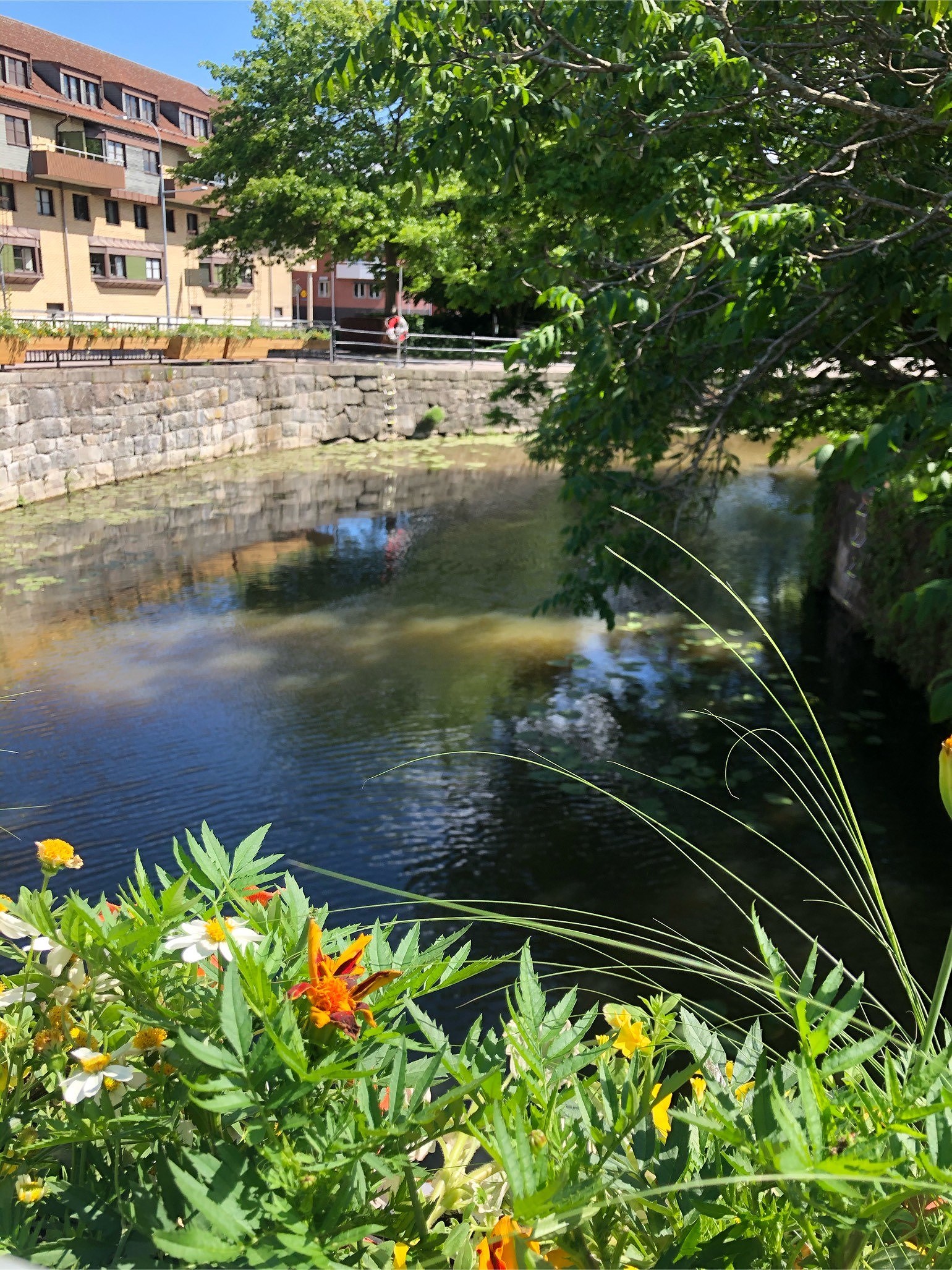 202006150434008012 - Cykelsemester dag 3: återvändsgränd och motvind