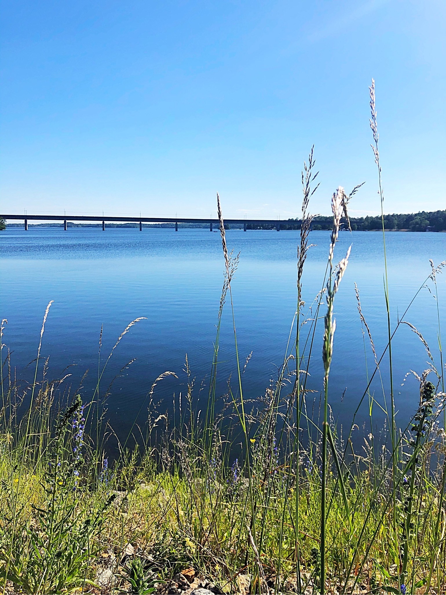 202006150434059587 - Cykelsemester dag 3: återvändsgränd och motvind