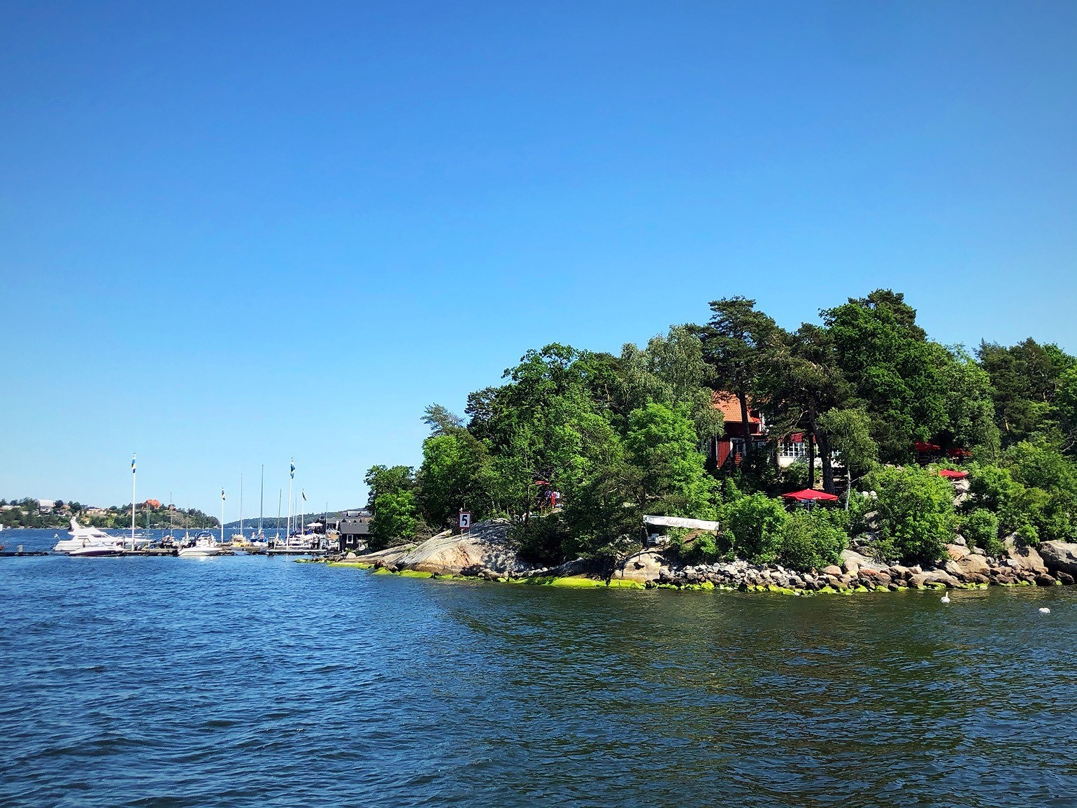 202006211624272704 - Midsommar är inte alltid lätt