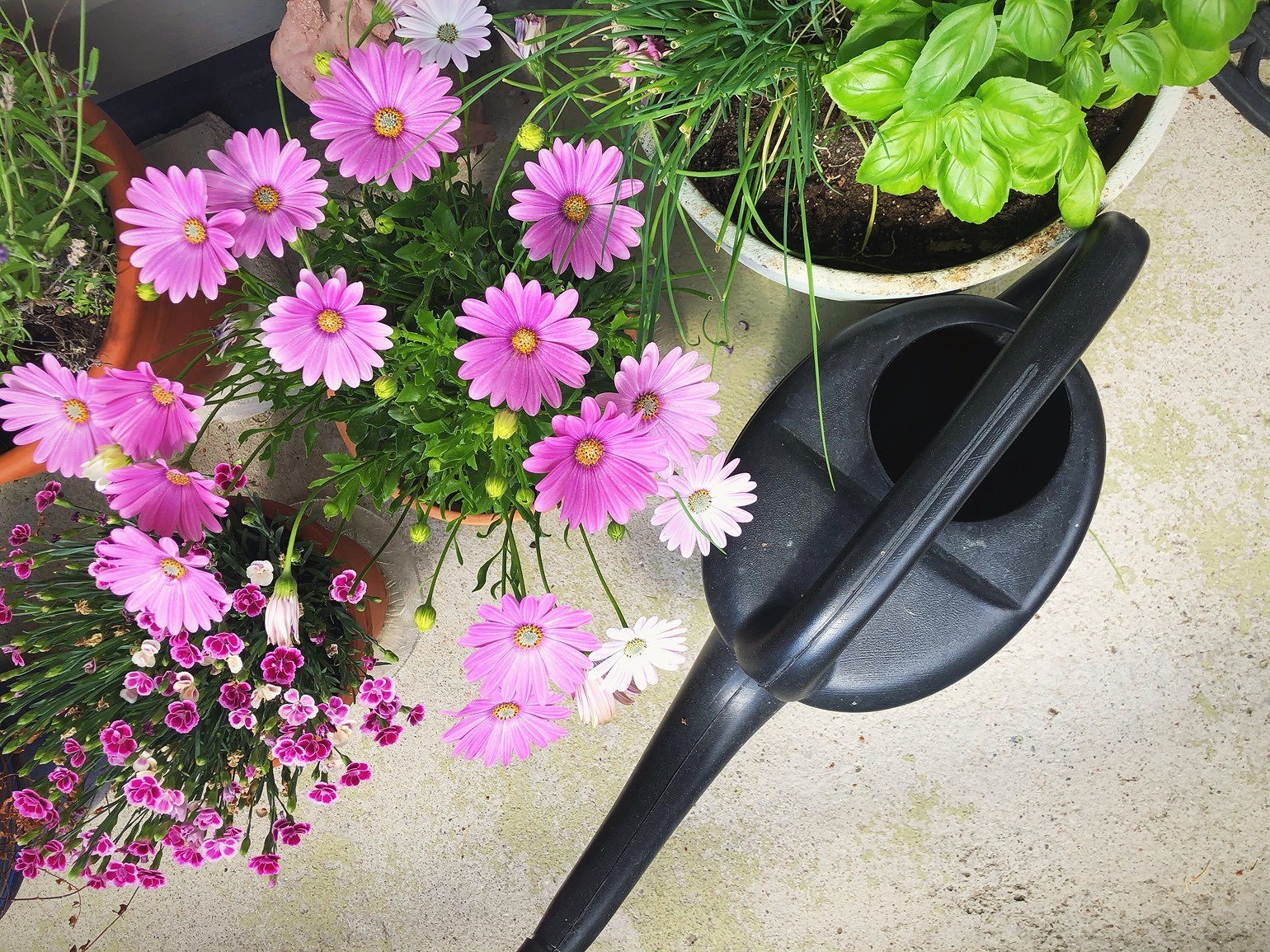 202007020415428194 - Boken går till tryckeriet