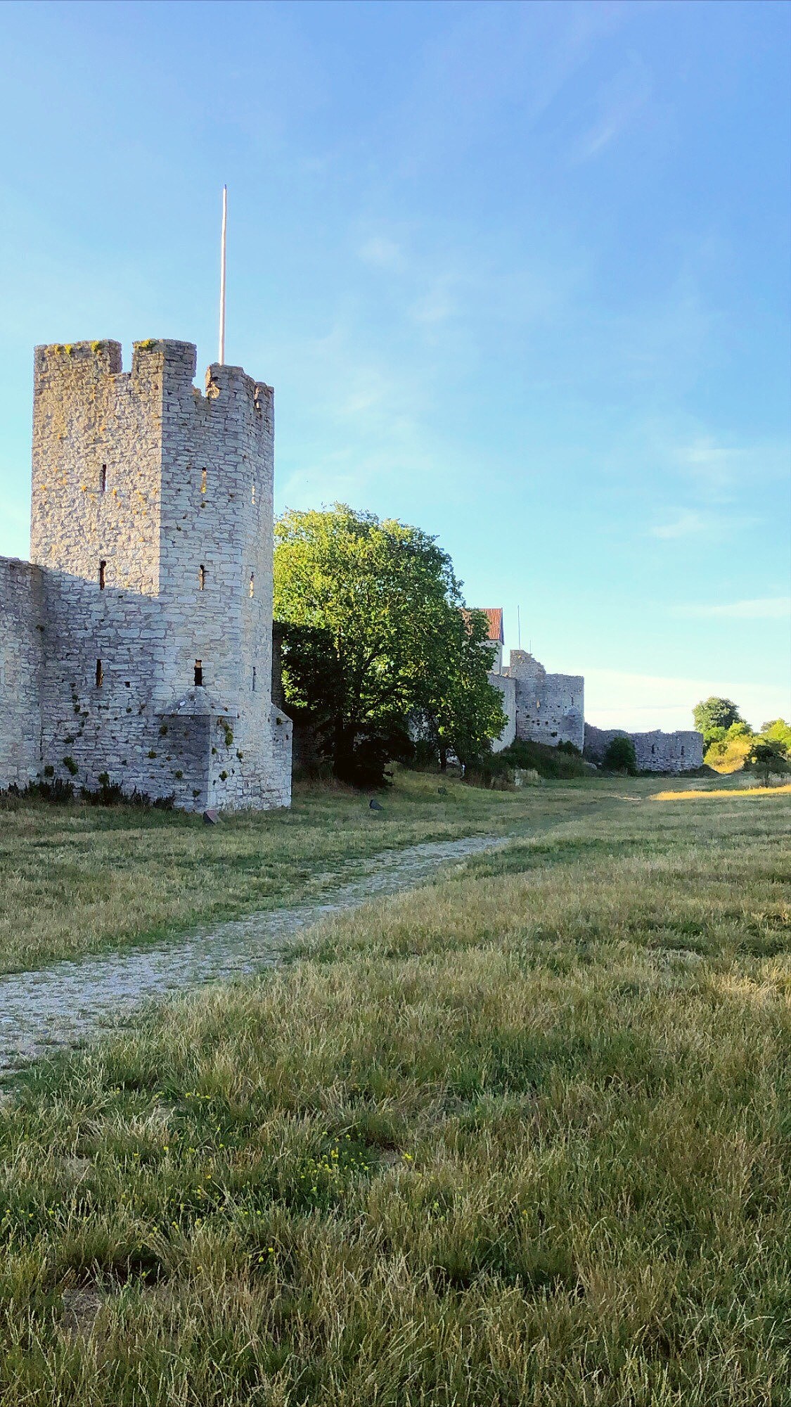 202007180928071552 - 8 år tillsammans