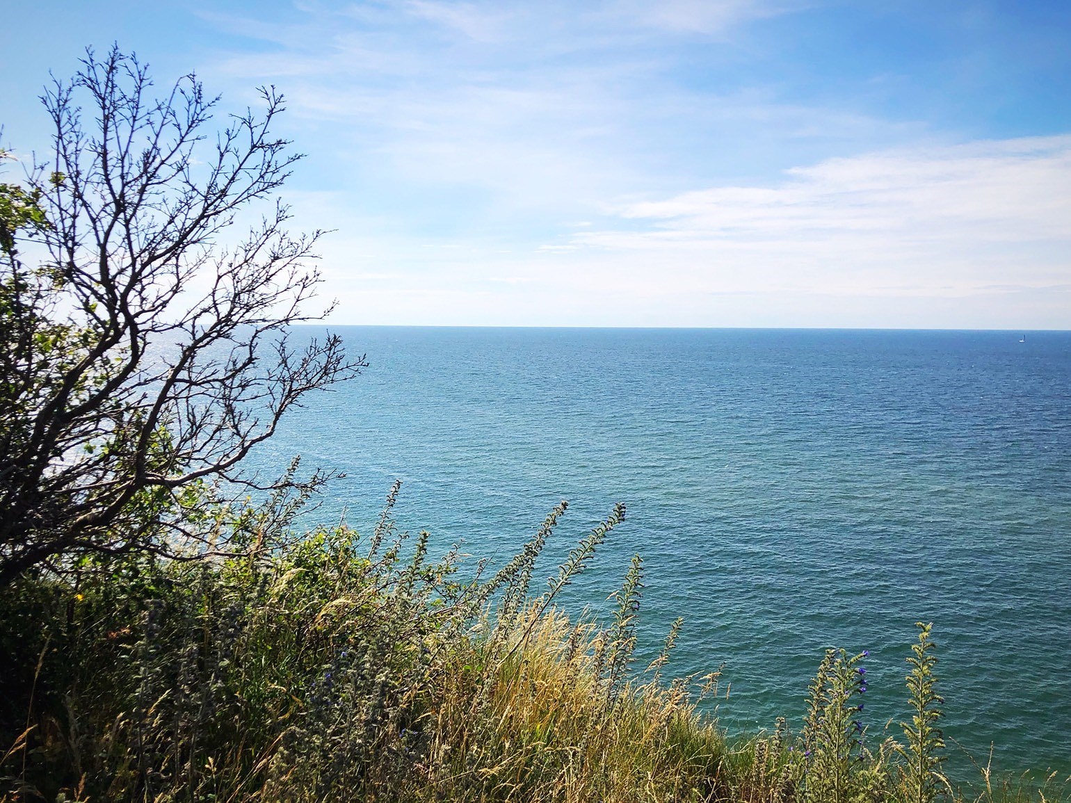 202007180928104425 - 8 år tillsammans