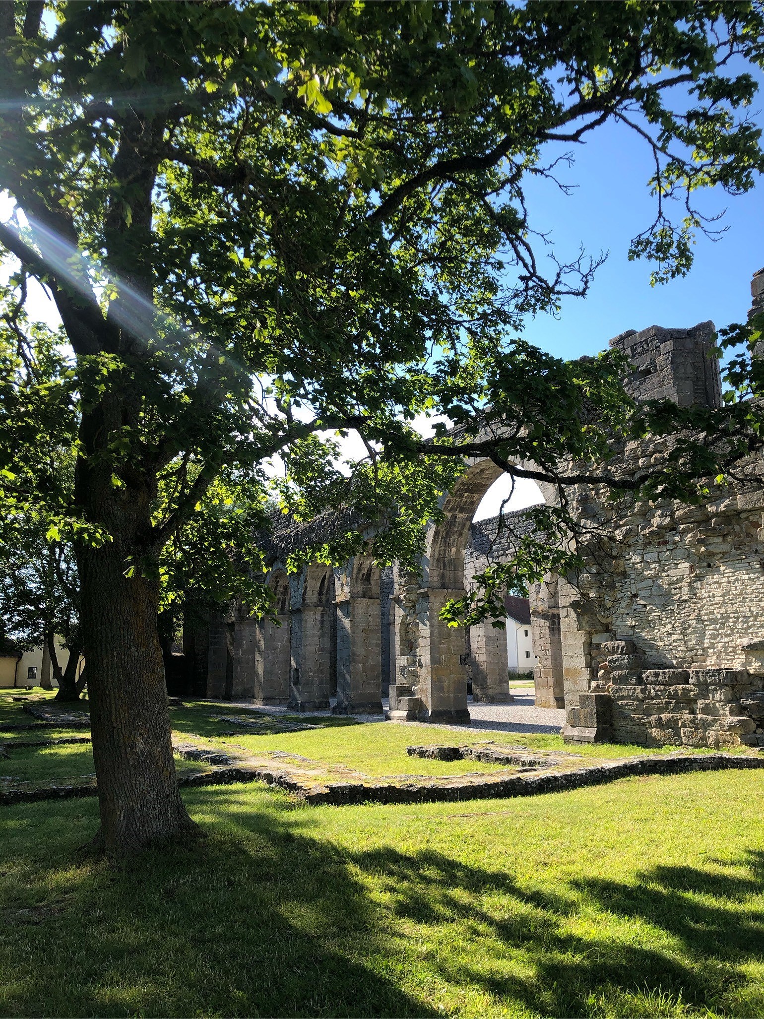 202007201255340805 - Gotlands pärlor - Mat och dryck