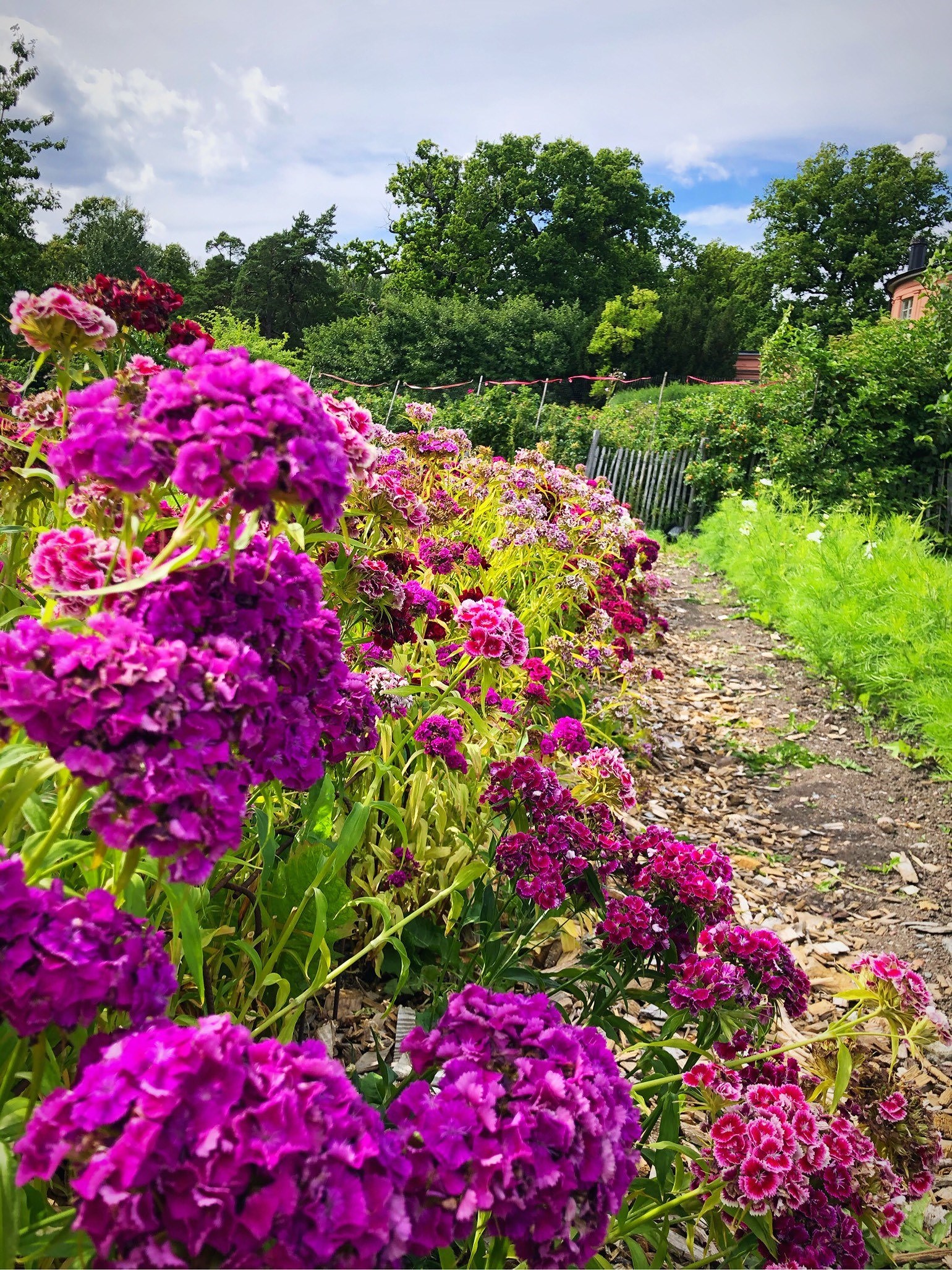 202007241440349284 - Nytt jobb och kliv i karriären