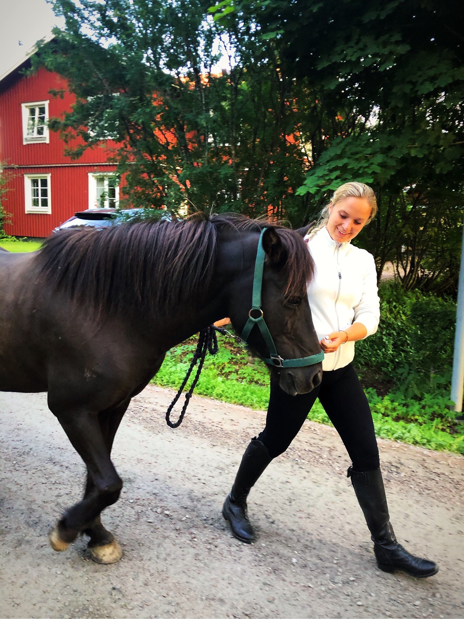 202007300945129857 - Upp i sadeln och full galopp i skogen