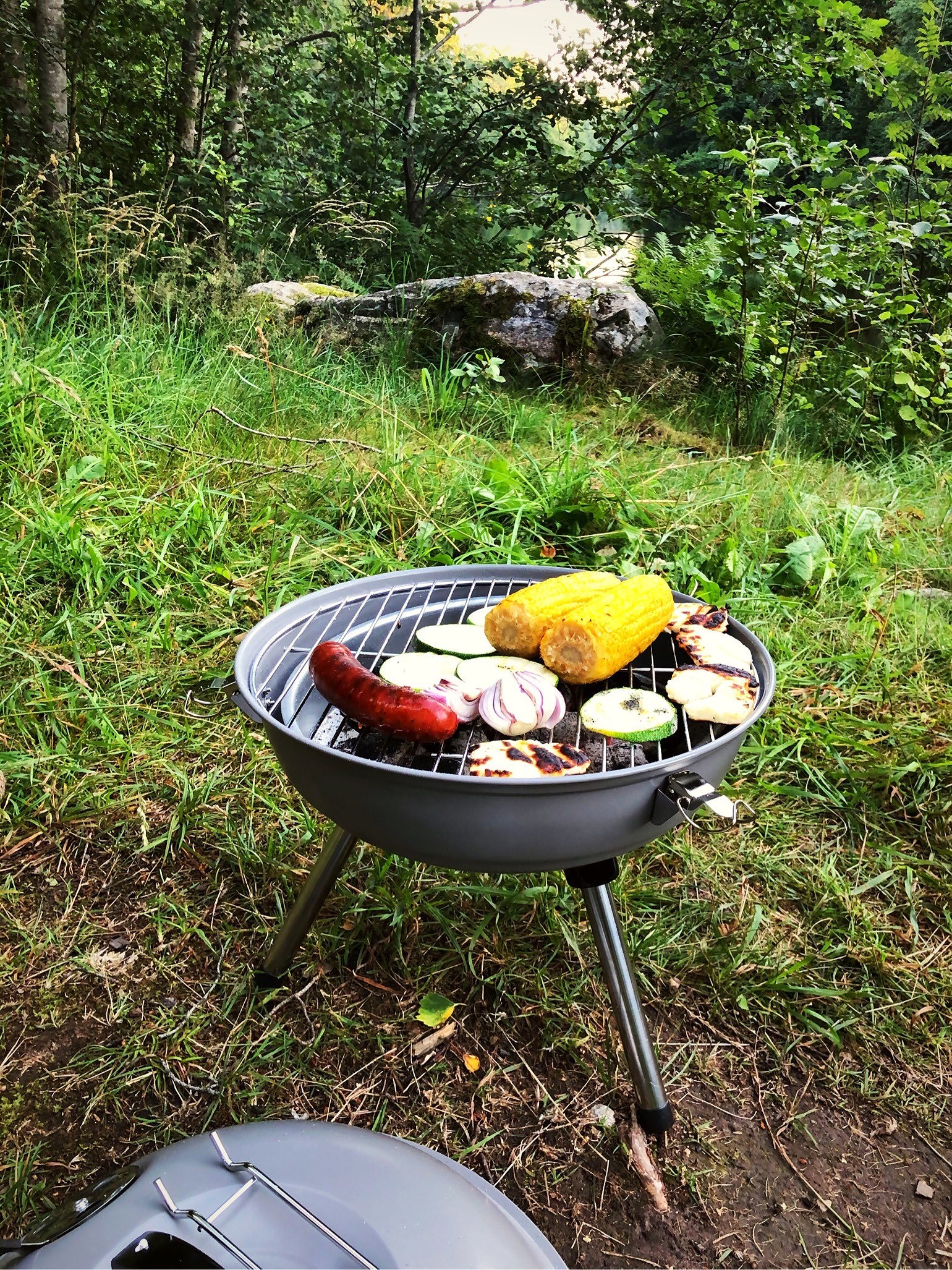 202007311915401545 - Enkelt på grillen