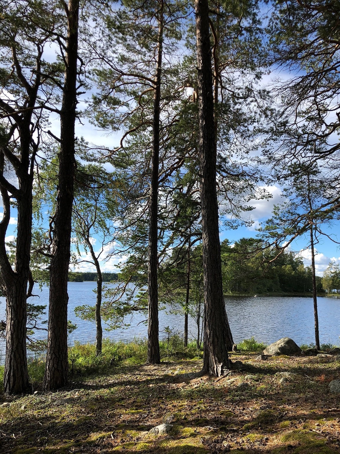 202009070521125635 - Dubbelkajak, Porsche och kalas