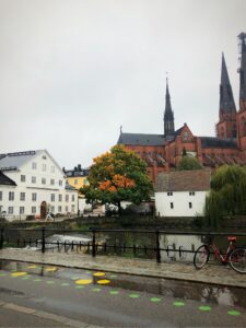 202009281511540828-225x300 - 3 skrivartips och bilder från helgen