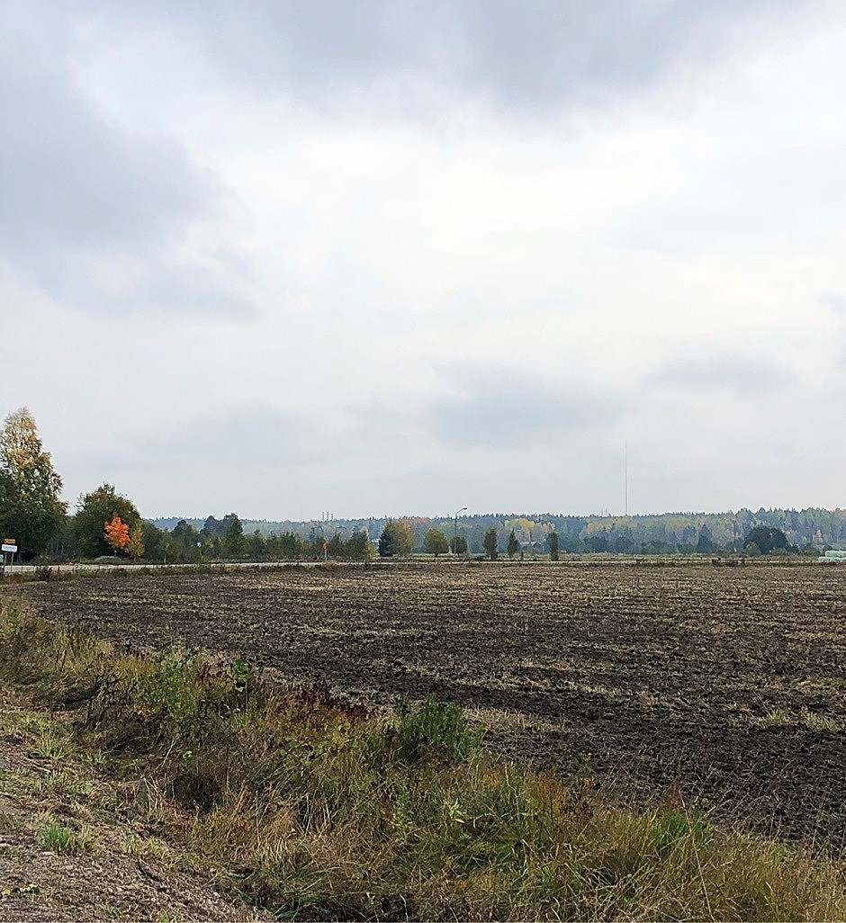 202010050816005536 - Löpning, svett och ansikte